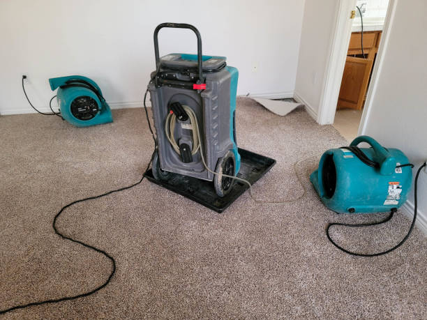 Best Water damage restoration near me  in Winchester, TN