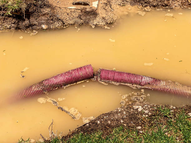 Best Water damage restoration near me  in Winchester, TN